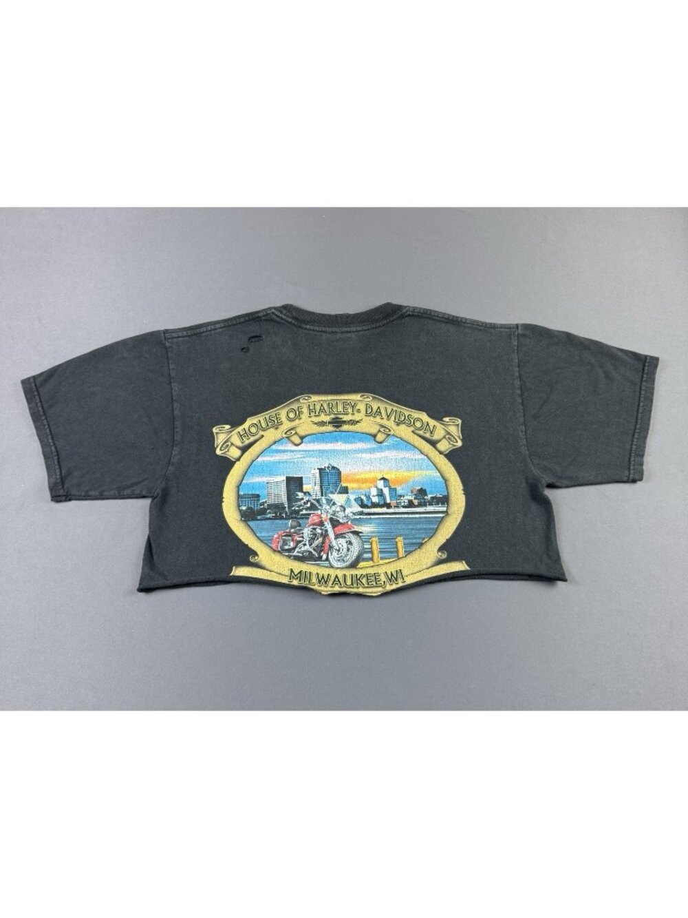 Rare Vintage Y2K Harley Davidson Womens Crop Top House Milwaukee Wisconsin Fade